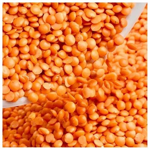Polished Masoor Dal