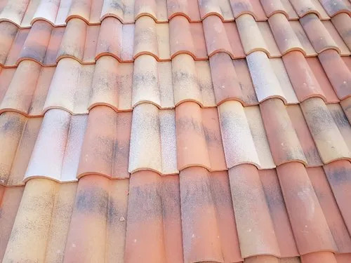 Terreal Romane Tiles