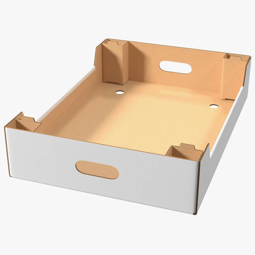 Corrugated Tray Box