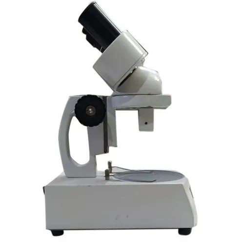 Fluorescence Stereo Microscope
