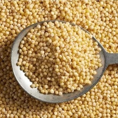 Brown Millet