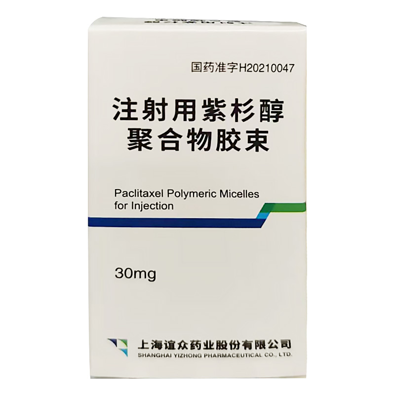 Paclitaxel Polymeric Micelles