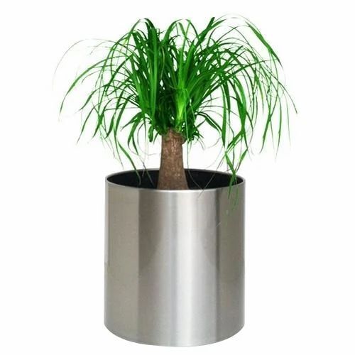 Ss Planter