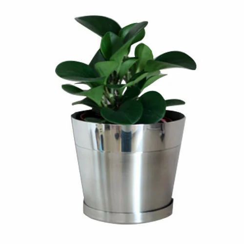 Ss Round Planter