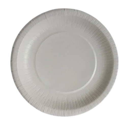 12 inch Disposable Paper Plate