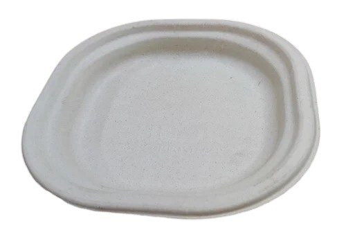 5 inch Biodegradable Paper Plate