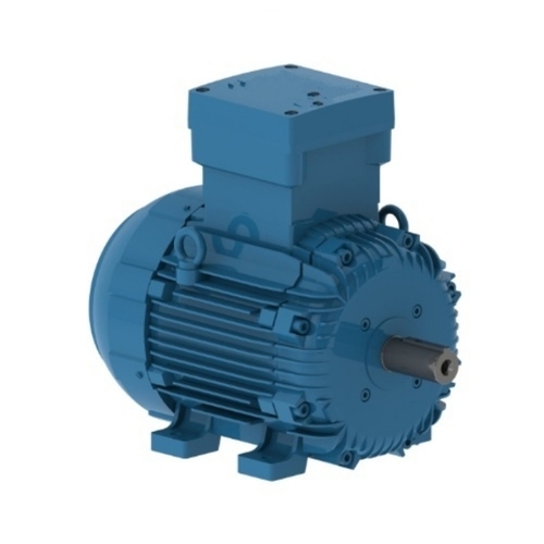 Cast Iron Electric Motor