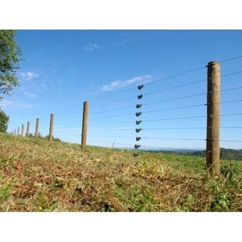 Forest Electric Fencing