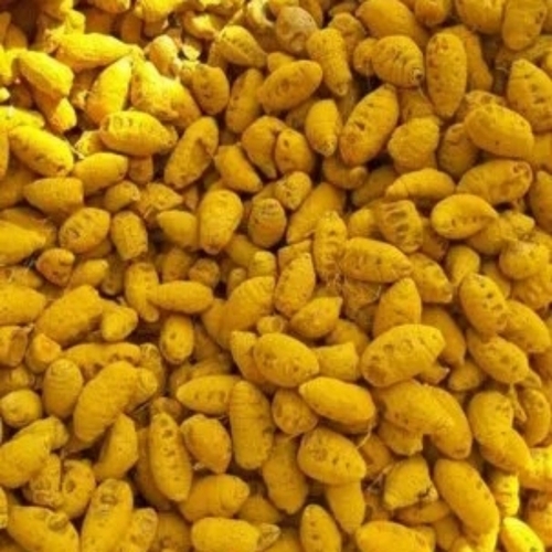 Whole Turmeric Finger 