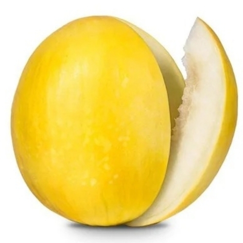 Fresh Muskmelon - Organic Yellow, Round | Sweet Flavor, Juicy Pulp, Soft Texture, Refreshing Taste, Ripe Quality