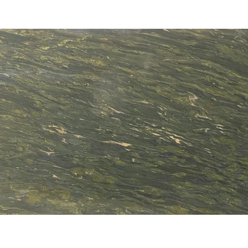 Niva Green Marble