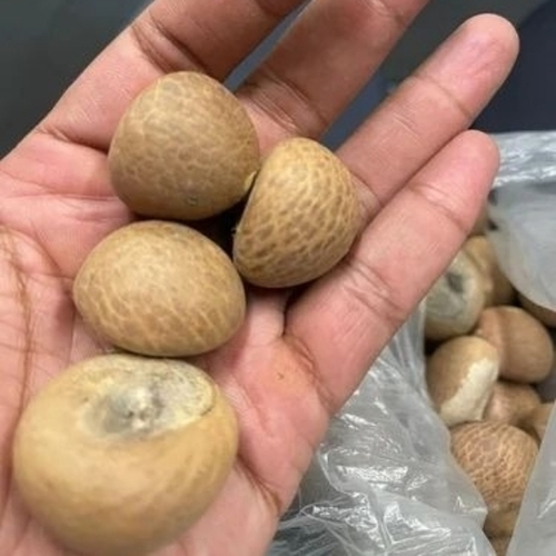 Arecanut Supari