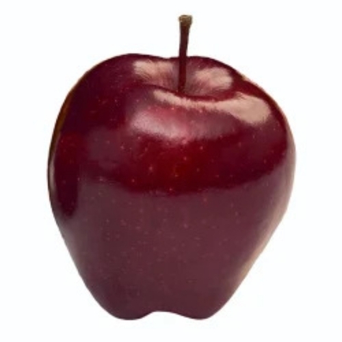 Fresh Red Delicious Apple Fruit