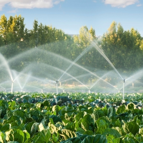 Irrigation