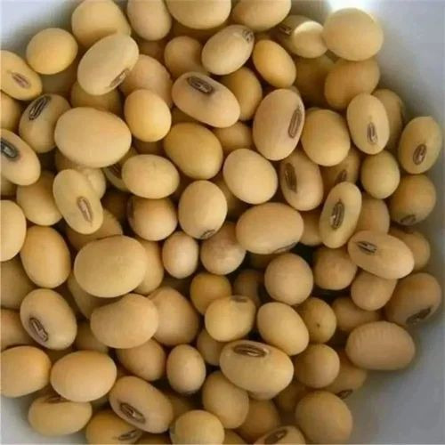 Soya Bean Dal