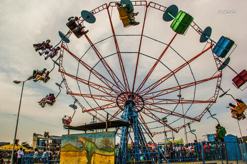 Amusement Park Ferris Wheel