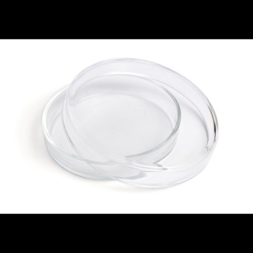 Dish