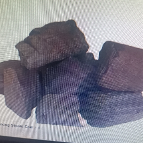 Non coking steam coal