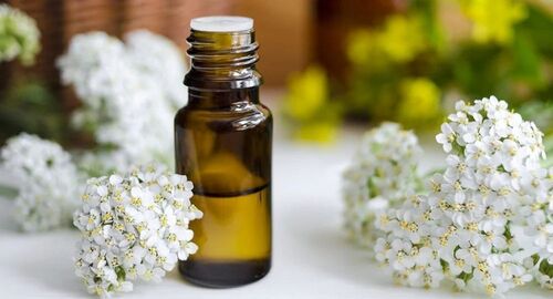 Yarrow Essential Oil