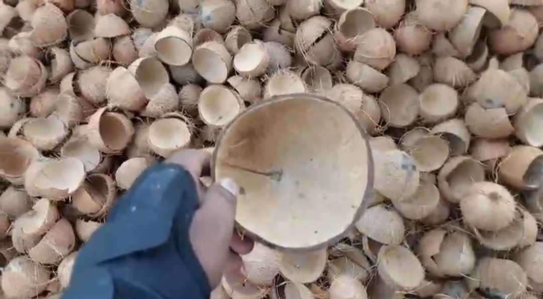 Coconut Shell