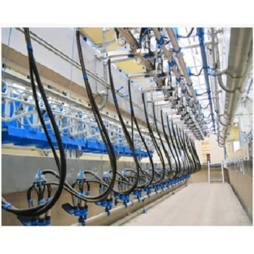 Commercial herringbone swingover milking parlor