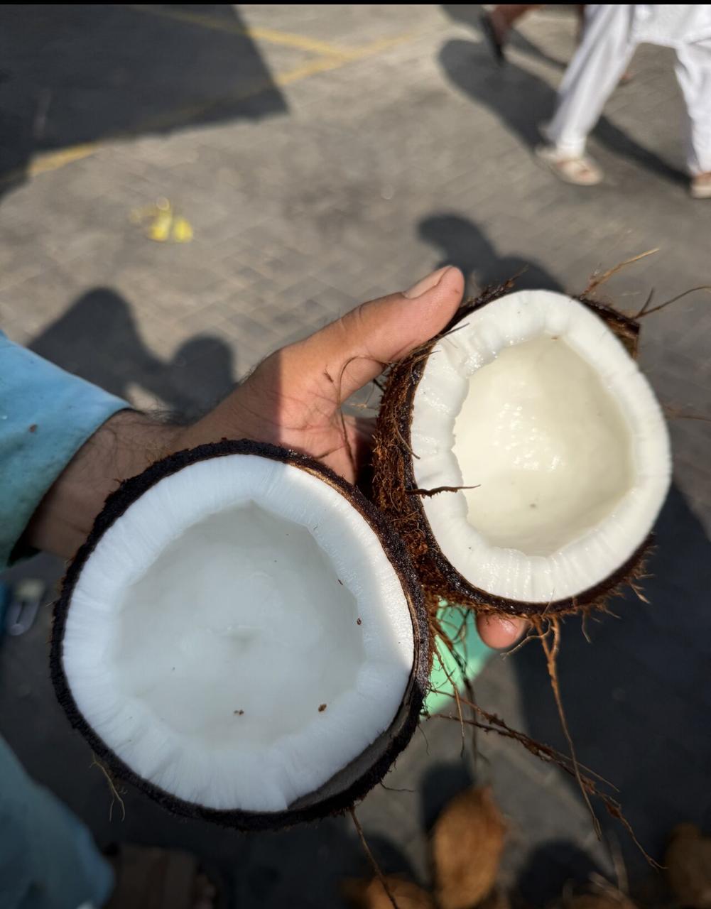 SEMI HUSKED COCONUT