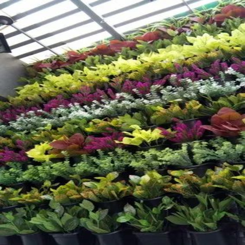 08 Potted Vertical Garden