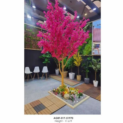Big Bougainvillea Plant 11.6 Ft