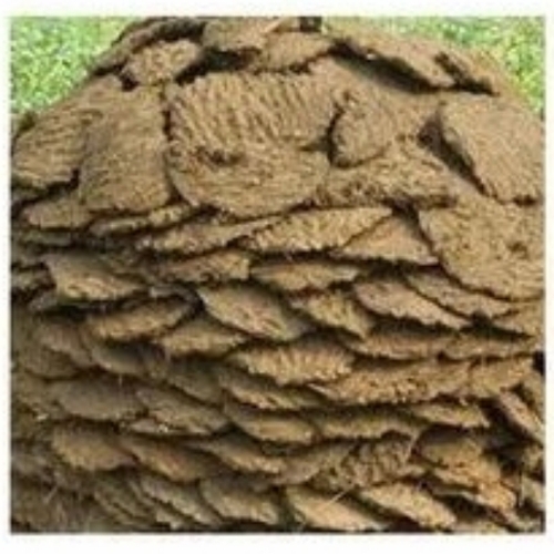 Cow Dung Cake