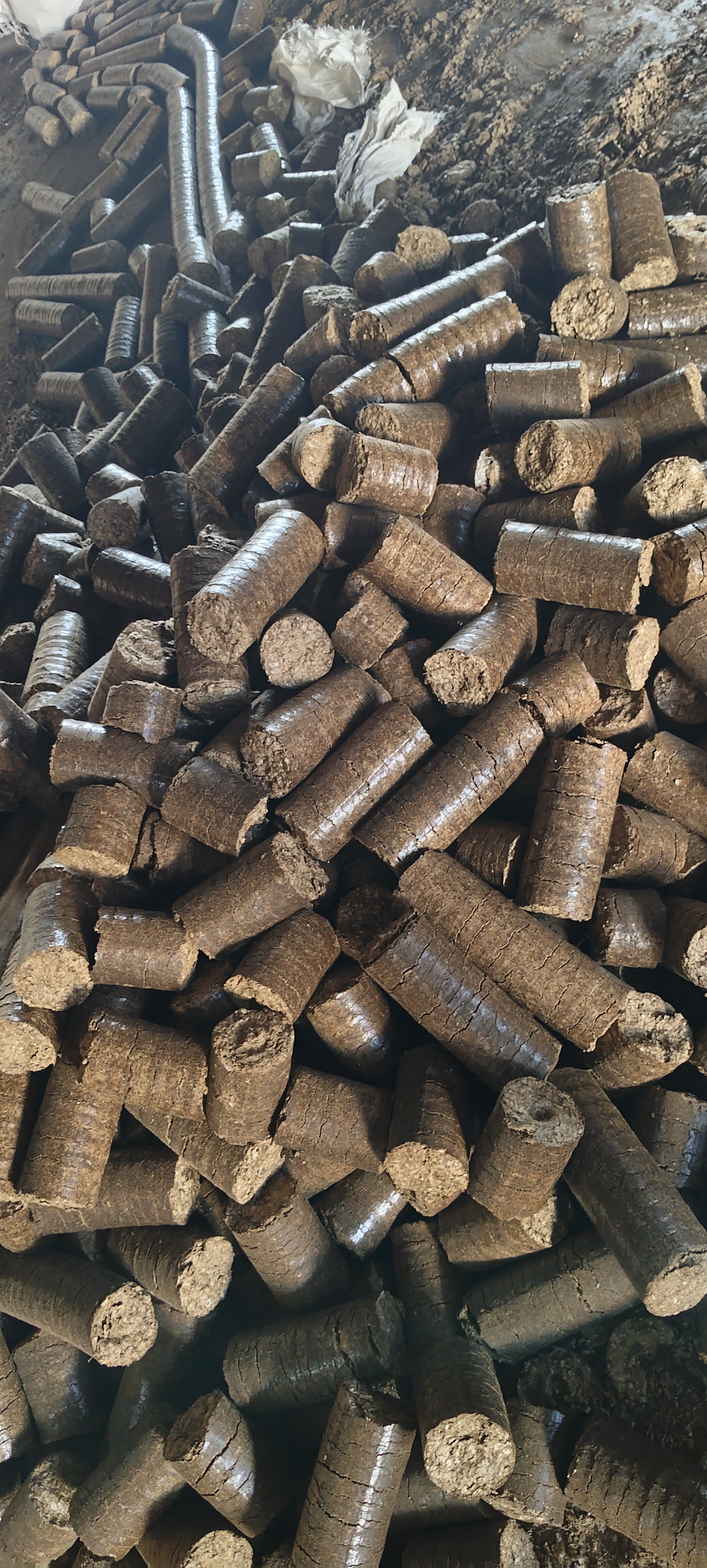 Groundnut shell briquetts