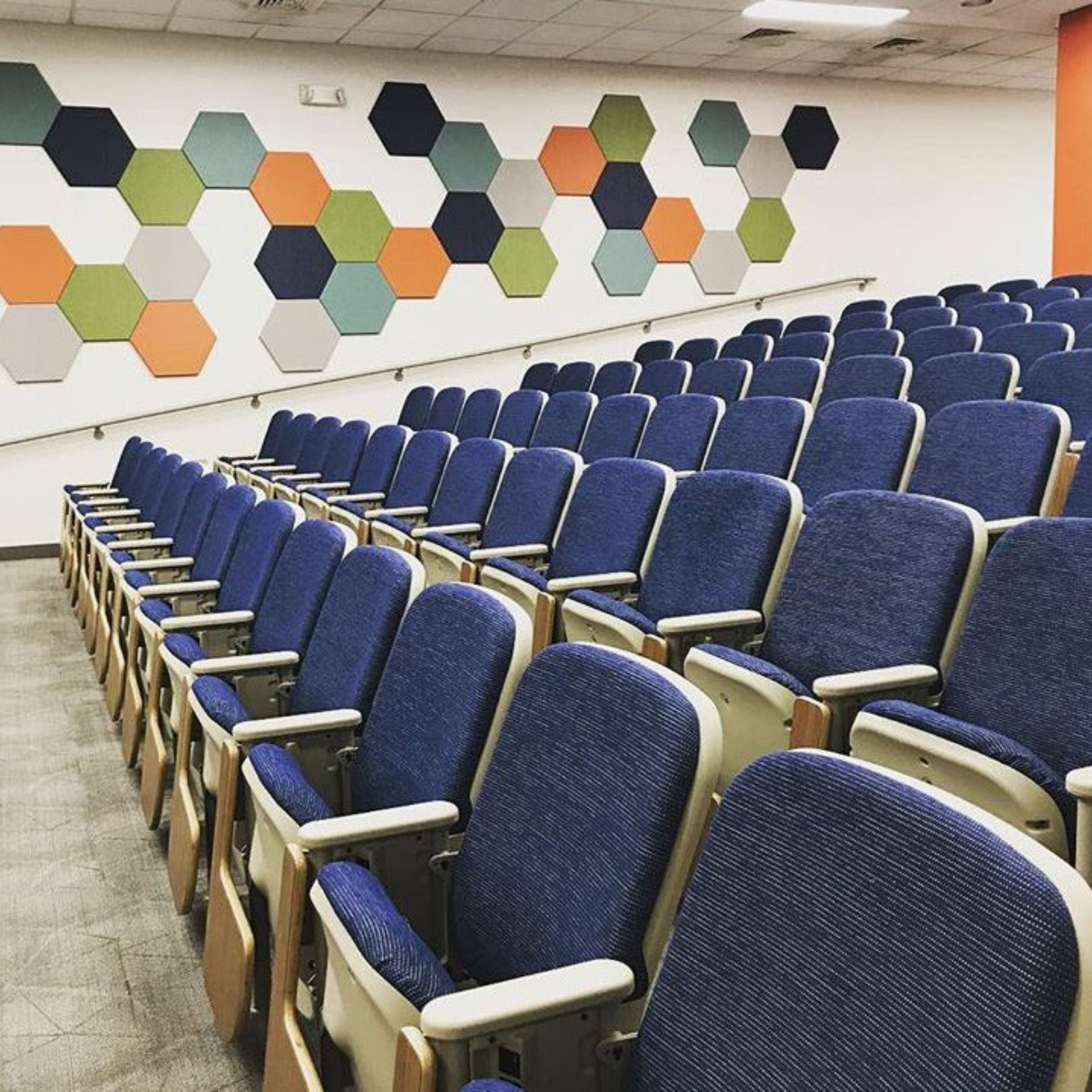 Pet Acoustic Panel 9Mm - Color: Multi Color