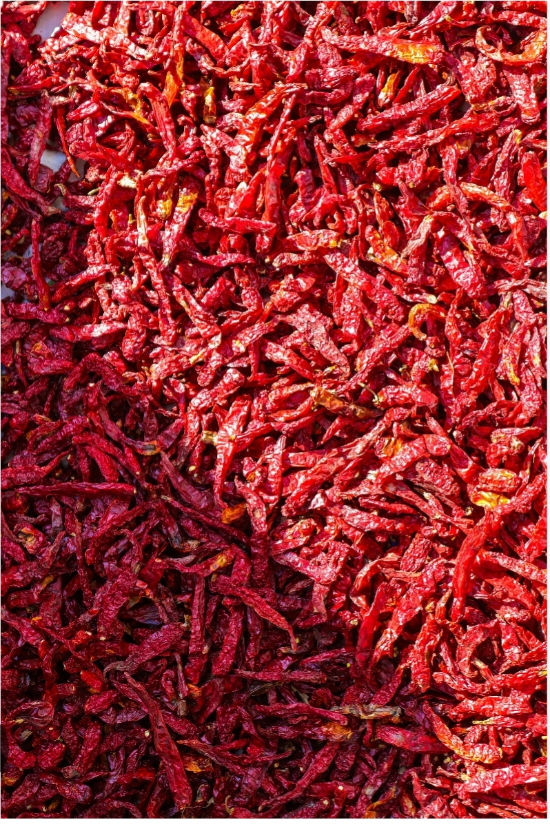 Red Chilli