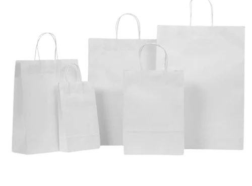 120 Gsm Kraft Paper Shopping Bag - 2-5 Kg Capacity