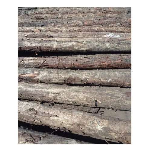 African Pine Round Logs