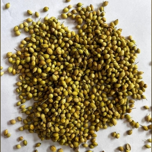 Coriander seeds