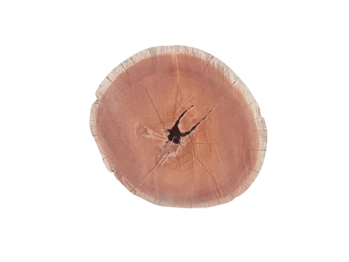 Meranti Wood Logs