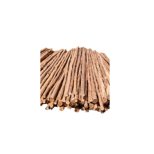 Pine Wood Timber Logs