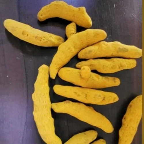 Turmeric finger