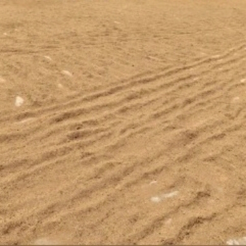 Coir Pith Composed Nature