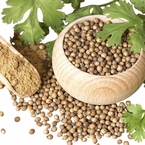 Coriander Seed