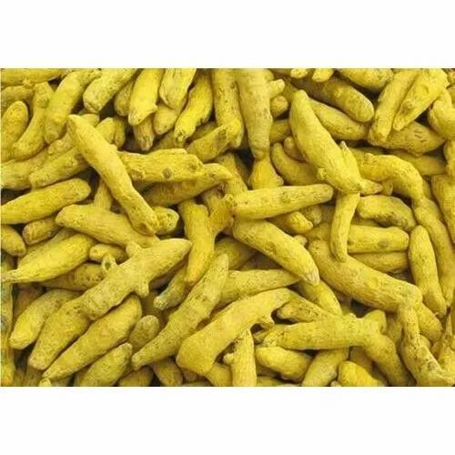 Dried Turmeric Finger