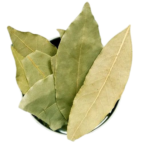 Dry Bay Leaf