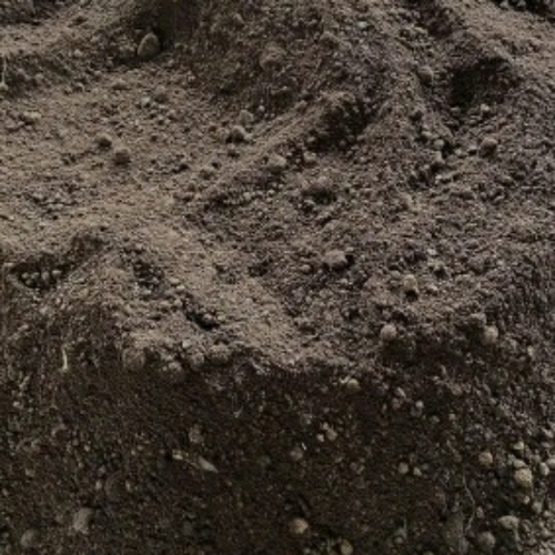 Organic Coir Pith Powder