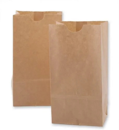 Plain Brown Kraft Paper Bag
