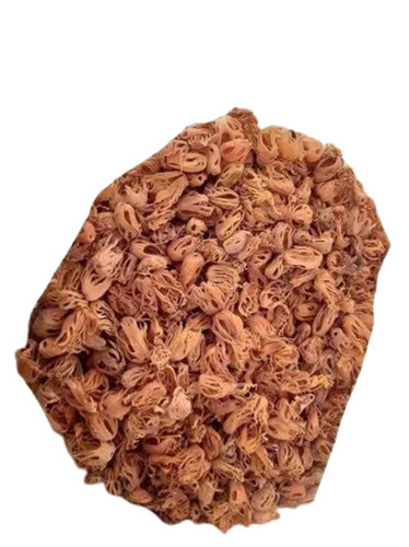 Mace Spice
