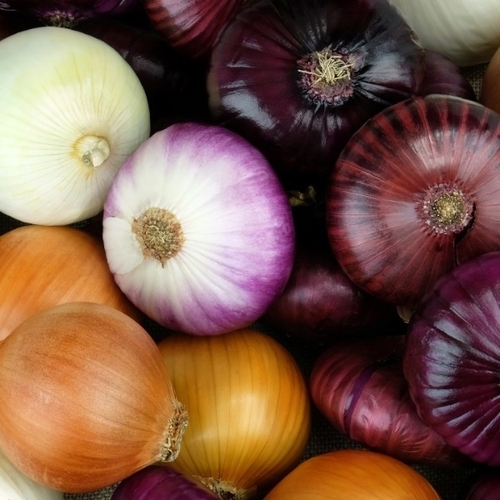 Onions