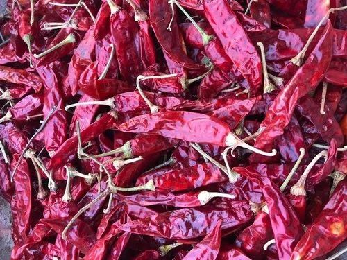 Teja Dry Red Chillies