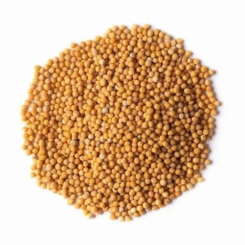 A Grade Yellow Mustard Seeds