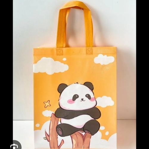 Carry Bag