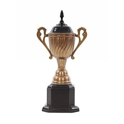 Metal Cup Trophy